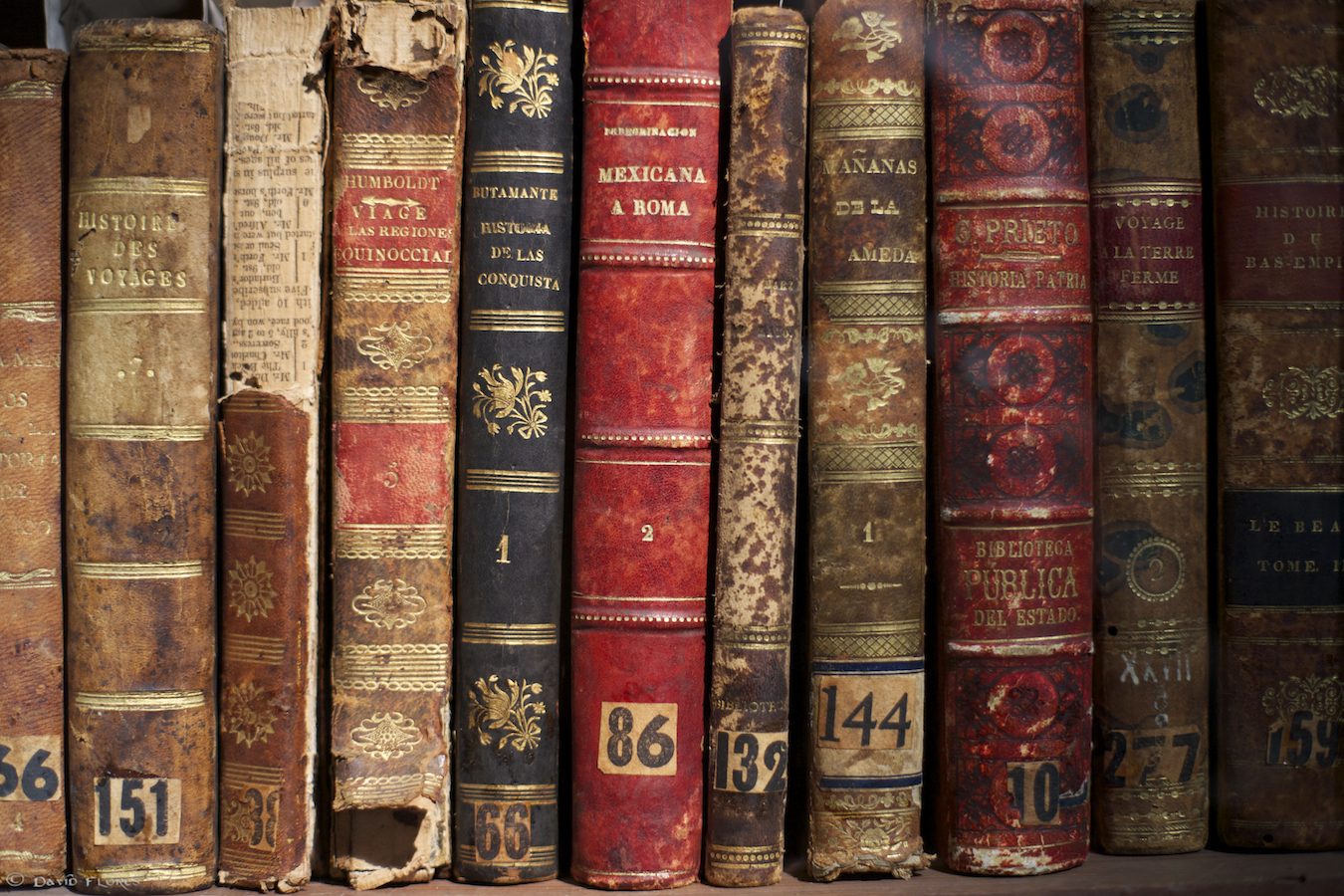 Fun Facts About Old Books